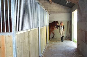 vacances à cheval : espace pour chevaux