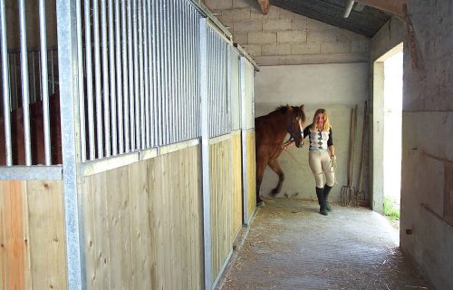 vacances à cheval : espace pour chevaux