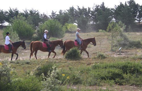 Camping La Buzelière - Equidé