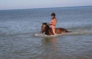 vacances à cheval