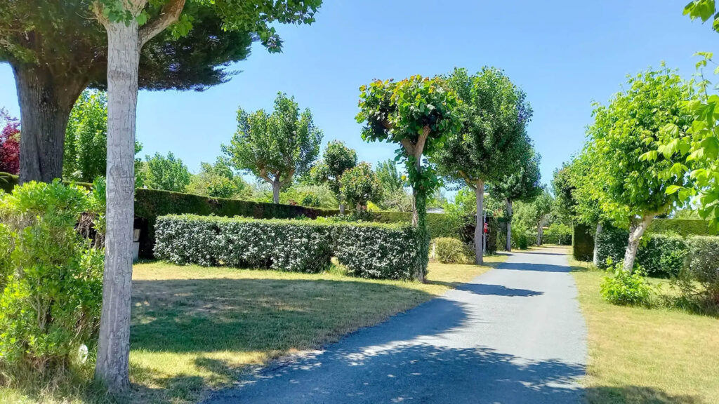 Emplacements campeurs au camping 4 étoiles La Buzelière : 100 m² de nature, tout simplement